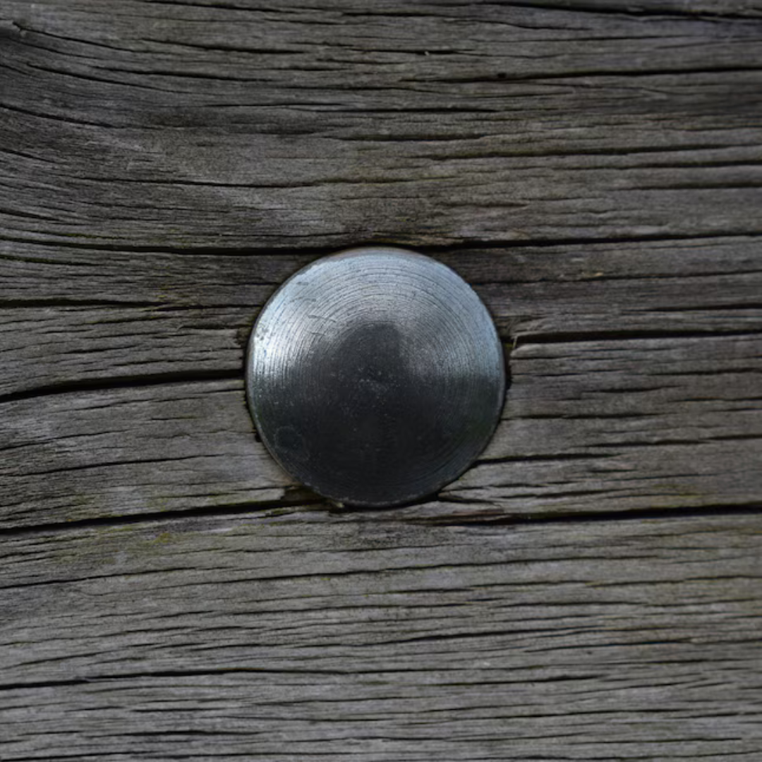 Mowlera 1/4-in x 2-1/2-in Coated Coarse Thread Exterior Carriage Bolt – Heavy-Duty